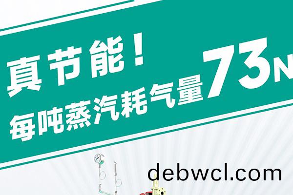 蒸(zheng)汽(qi)發(fa)生器源(yuan)頭(tou)廠(chang)家(jia)直(zhi)銷哪家靠譜(pu)？